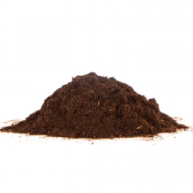 Terrario Paraguay Muds Powder - fine peat 5l